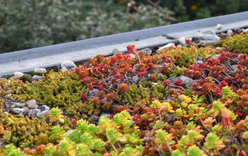 the cost of Rusling End green roof installation