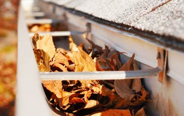 Rusling End gutter cleaning companies