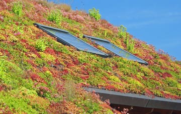 Rusling End living roof systems